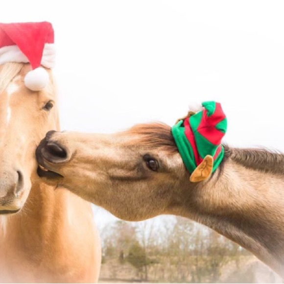 Live Join Now Share Show No Theme - Picture 7 of 13